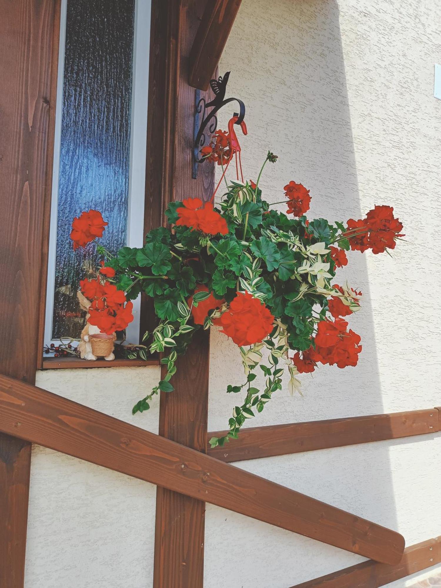 Residence Rooms Bucovina Câmpulung Moldovenesc Dış mekan fotoğraf