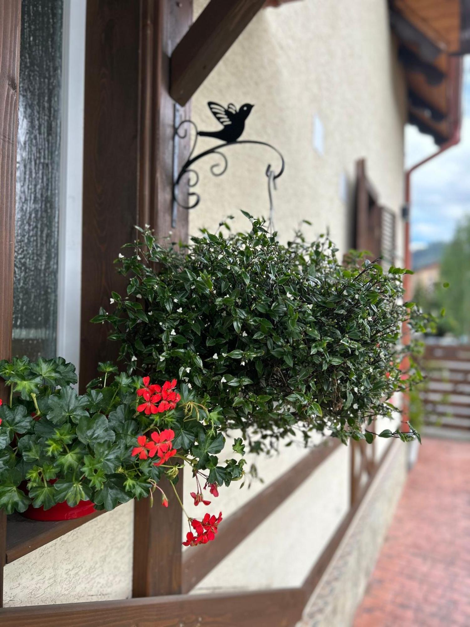 Residence Rooms Bucovina Câmpulung Moldovenesc Dış mekan fotoğraf
