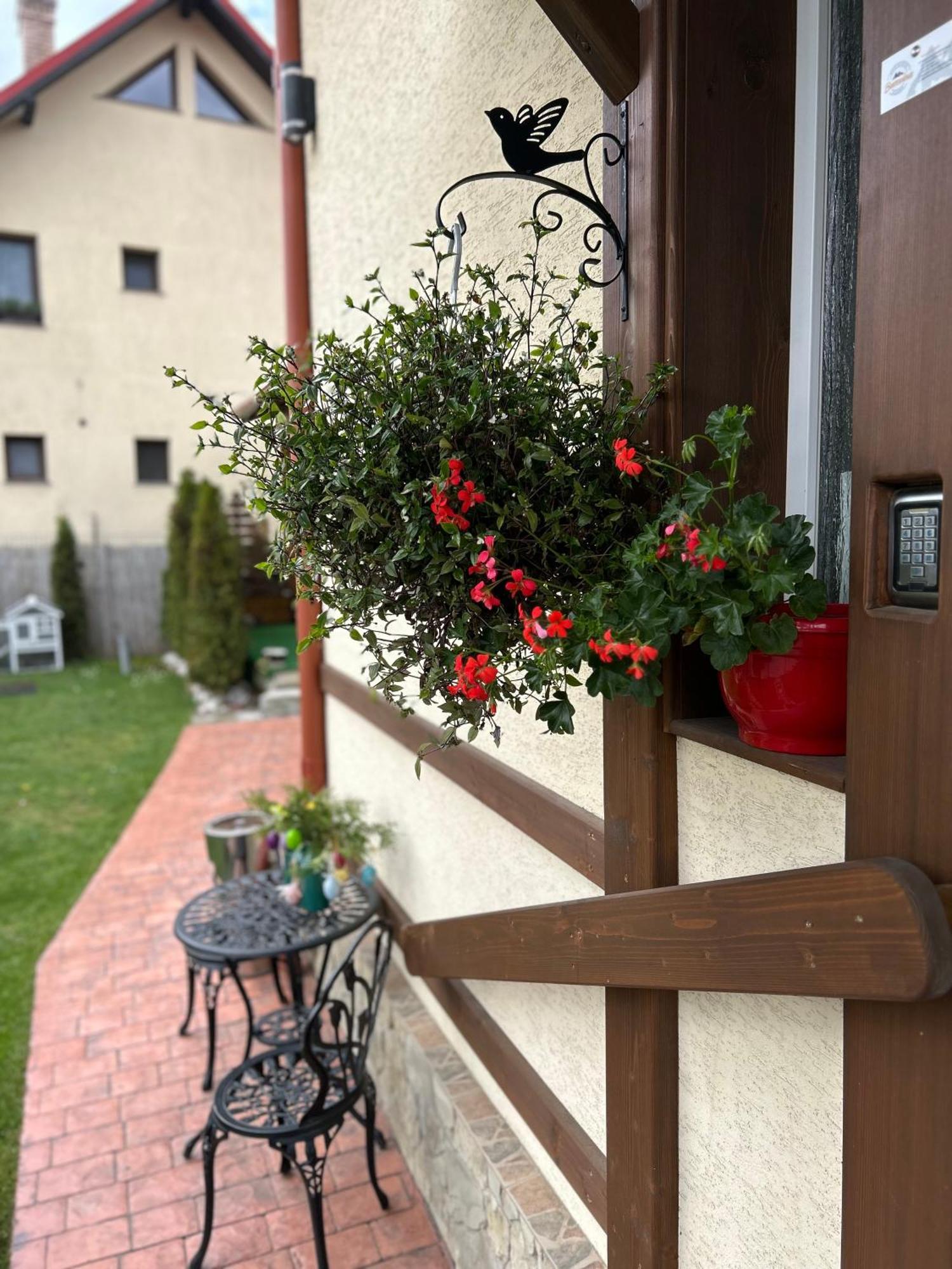 Residence Rooms Bucovina Câmpulung Moldovenesc Dış mekan fotoğraf